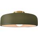 Radiance Collection - Spire 1 Light 13 inch Matte Green and Brushed Brass Semi-Flush Ceiling Light in Replaceable Bulb, 13W x 6H, Form+Finish+Function