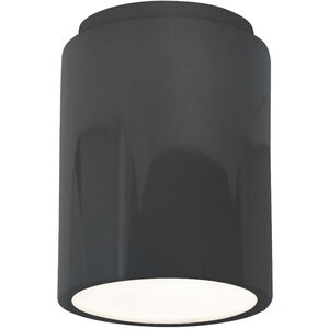 Radiance 1 Light 6.5 inch Gloss Grey Outdoor Flush Mount in Incandescent, Gloss Gray
