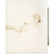 LumenAria Collection - Medley Family 4.75 inch ADA Wall Sconce Wall Light in 4" D x 4.75" W x 4.75" H, EVOLV