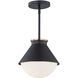 Fusion Collection 1 Light 10 inch Matte Black with Brass Ring Outdoor Pendant, Ravelle Family