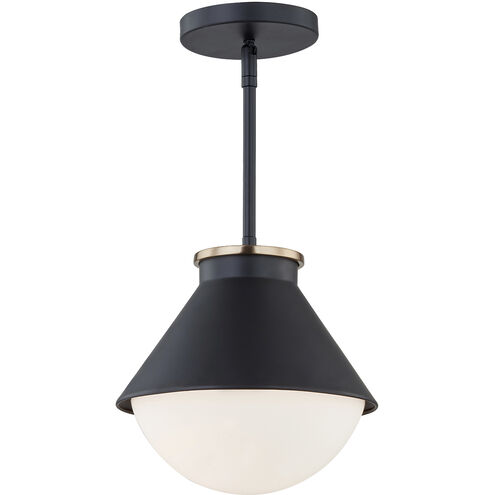 Fusion Collection 1 Light 10 inch Matte Black with Brass Ring Outdoor Pendant, Ravelle Family