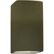 Ambiance Outdoor Wall Sconce