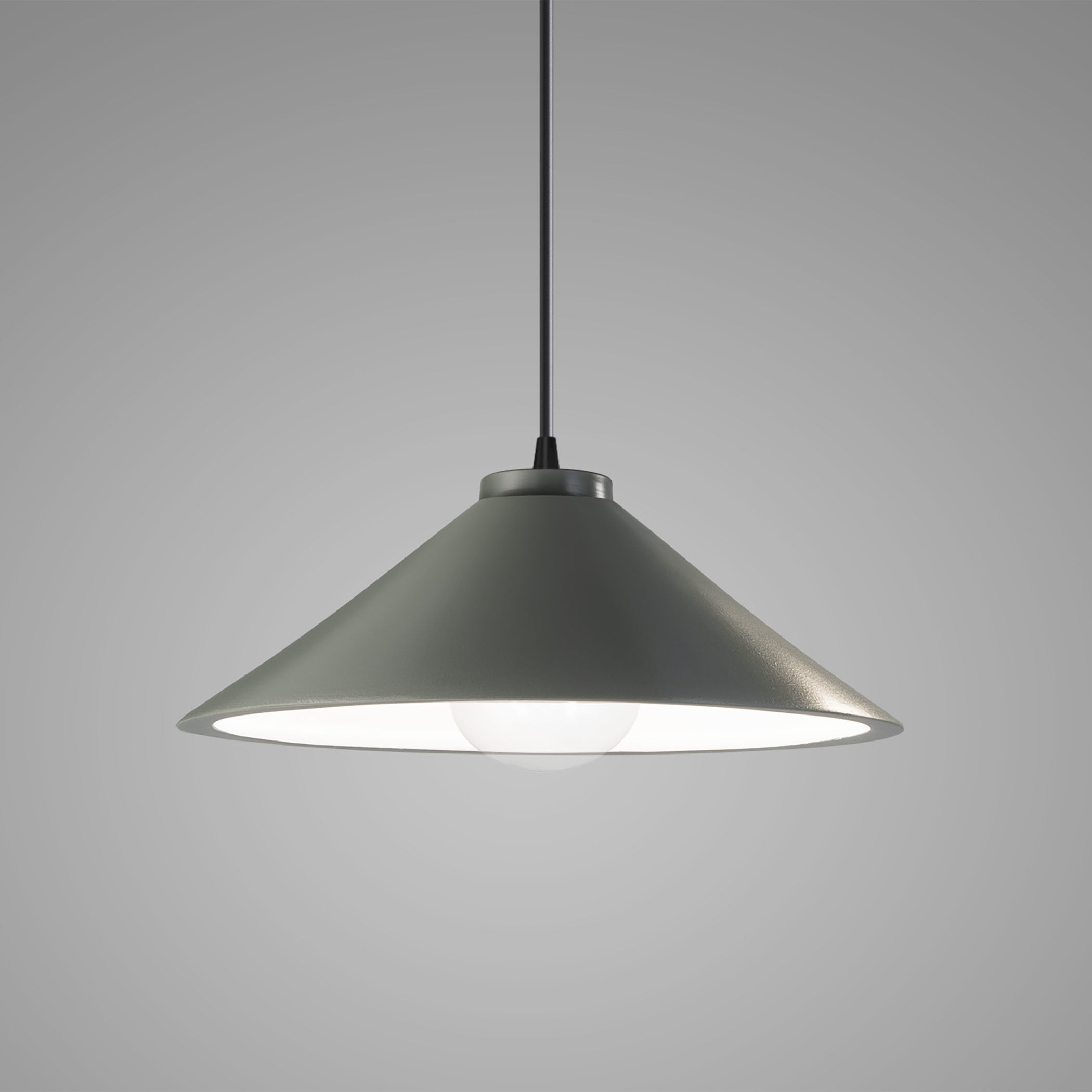 Radiance Collection 1 Light 11.75 inch Pewter Green with Matte Black Pendant Ceiling Light
