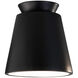 Radiance Collection LED 7.5 inch Canyon Clay Outdoor Flush-Mount
