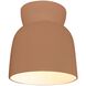 Radiance Outdoor Flush Mount