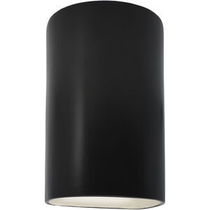 Ambiance Collection LED 13 inch Carbon Matte Black Outdoor Wall Sconce