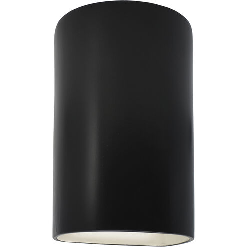 Ambiance Collection LED 12.5 inch Carbon Matte Black Outdoor Wall Sconce