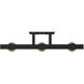 EVOLV 24.00 inch Bathroom Vanity Light