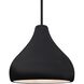 Radiance LED 11.5 inch Gloss Black and Matte Black Pendant Ceiling Light