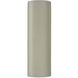 Ambiance Tube LED 17 inch Celadon Green Crackle Outdoor Wall Sconce