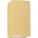 Ambiance Outdoor Wall Sconce