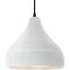 Radiance 1 Light 13.5 inch Gloss White and Matte Black Pendant Ceiling Light