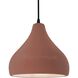 Radiance 1 Light 11.5 inch Canyon Clay and Matte Black Pendant Ceiling Light