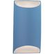Ambiance Outdoor Wall Sconce