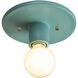 Radiance Collection 1 Light 8 inch Reflecting Pool Flush Mount Ceiling Light