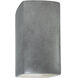 Ambiance 1 Light 9.5 inch Antique Silver Outdoor Wall Sconce, Small