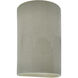 Ambiance Cylinder LED 12.5 inch Celadon Green Crackle Outdoor Wall Sconce, Large