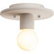 Radiance Collection 1 Light 8 inch Pewter Green Flush Mount Ceiling Light