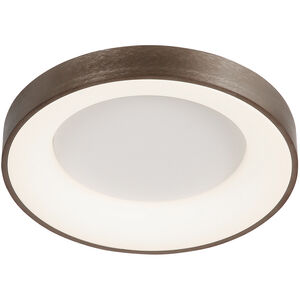 EVOLV LED 24 inch Light Bronze Flush-Mount Ceiling Light, Sway Family