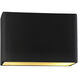 Ambiance LED 16.5 inch Matte Black ADA Wall Sconce Wall Light