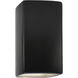 Ambiance Rectangle LED 13.5 inch Carbon Matte Black Outdoor Wall Sconce, Large
