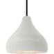 Radiance LED 11.5 inch Matte White and Matte Black Pendant Ceiling Light