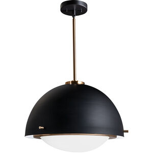 EVOLV 19 inch Matte Black with Brass Accents Pendant Ceiling Light, Hemisphere Family