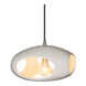 Radiance 1 Light 12 inch Pendant Ceiling Light
