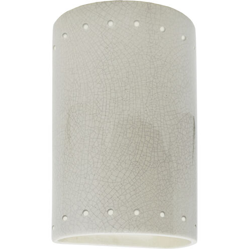 Ambiance Cylinder LED 9.5 inch White Crackle Outdoor Wall Sconce, Small