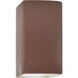Ambiance 1 Light 9.5 inch Canyon Clay Outdoor Wall Sconce in Incandescent