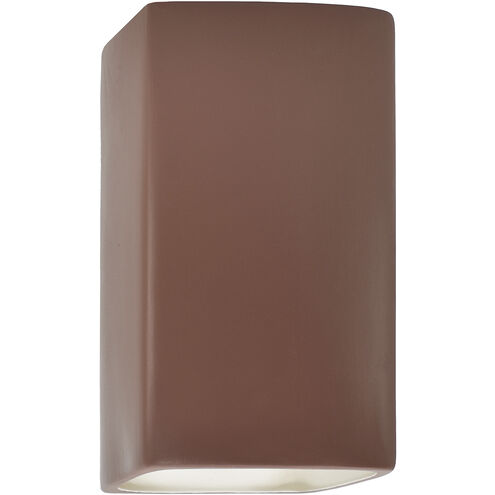 Ambiance 1 Light 9.5 inch Canyon Clay Outdoor Wall Sconce in Incandescent
