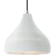 Radiance LED 13.5 inch Gloss White and Brushed Nickel Pendant Ceiling Light