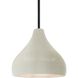 Radiance LED 8 inch White Crackle and Matte Black Pendant Ceiling Light