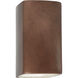 Ambiance 1 Light 13.5 inch Antique Copper Outdoor Wall Sconce in Incandescent, Large