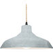 Radiance LED 15.5 inch Matte Black and Concrete Pendant Ceiling Light