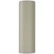 Ambiance Outdoor Wall Sconce