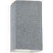Ambiance 1 Light 7.25 inch Concrete Wall Sconce Wall Light in Incandescent