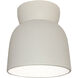 Radiance Collection 1 Light 7.5 inch Hammered Brass Outdoor Flush Mount