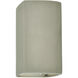 Ambiance Rectangle LED 5.25 inch Celadon Green Crackle ADA Wall Sconce Wall Light, Small