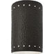 Ambiance Collection LED 9.5 inch Hammered Iron Outdoor Wall Sconce