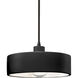 Radiance Collection 1 Light 12 inch Matte Black Pendant Ceiling Light