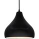 Radiance 1 Light 11.5 inch Carbon Matte Black and Matte Black Pendant Ceiling Light