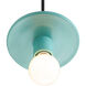 Radiance Collection 1 Light 8 inch Reflecting Pool Pendant Ceiling Light