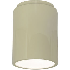Radiance Cylinder LED 7 inch Vanilla Gloss Outdoor Flush-Mount in 1000 Lm LED