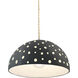 Perforated Dome Pendant Ceiling Light in Replaceable Bulb, Gloss Gray, Form+Finish+Function