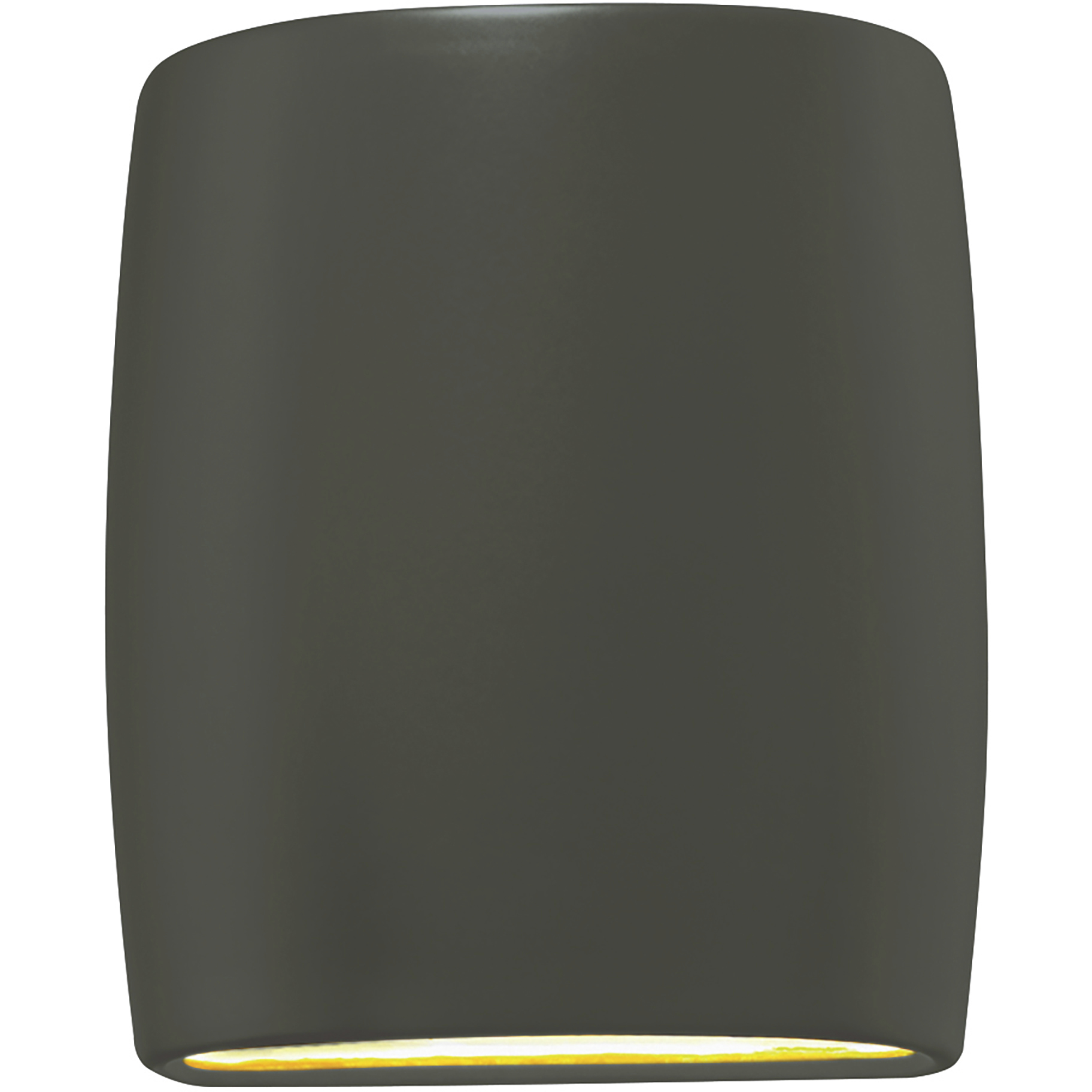 Ambiance Collection LED 10 inch Pewter Green Outdoor Wall Sconce