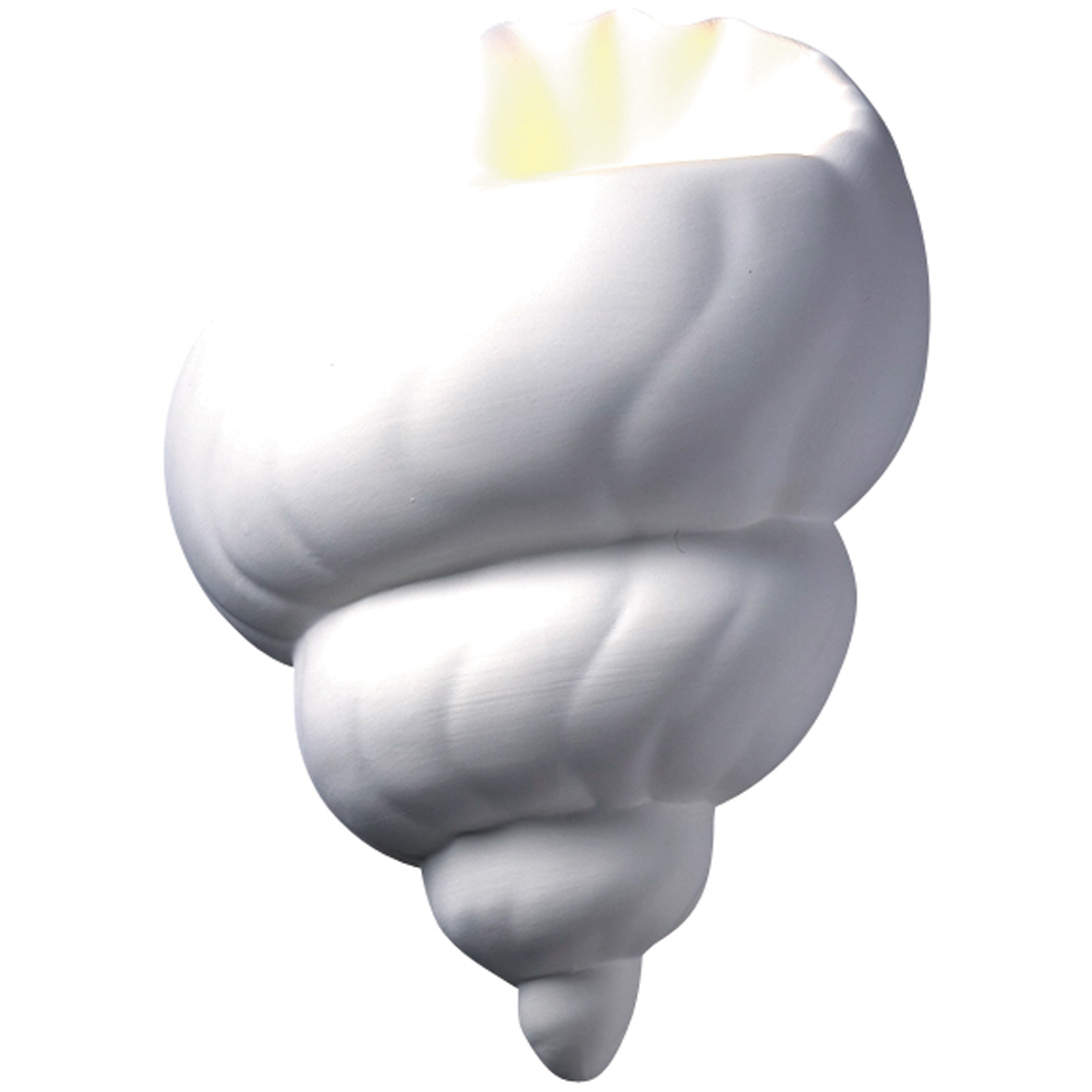 Ambiance Conch Shell Wall Sconce Wall Light