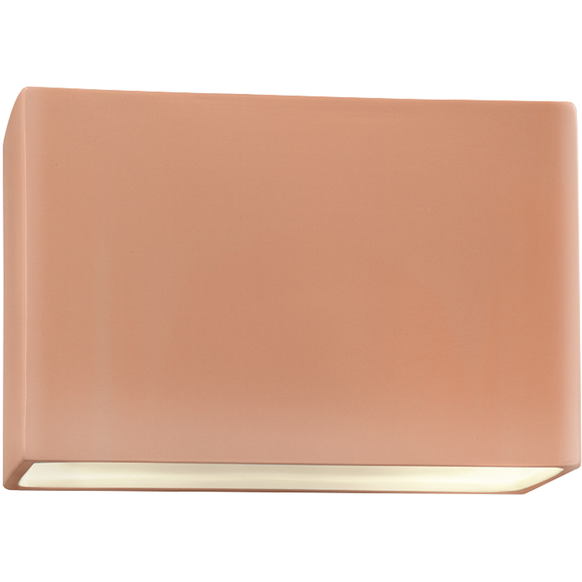 Ambiance Collection LED 10 inch Gloss Blush Outdoor Wall Sconce