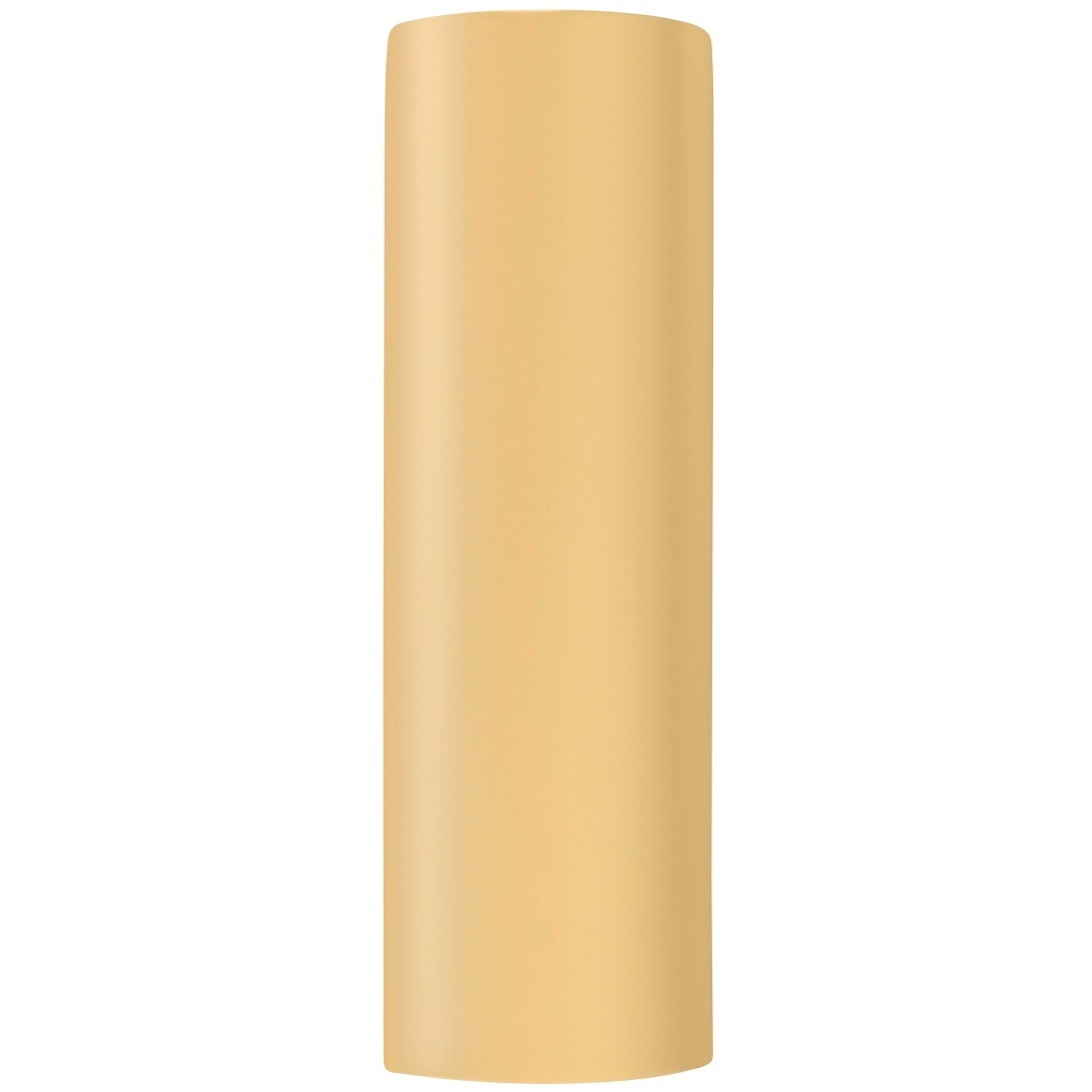 Ambiance Outdoor Wall Sconce