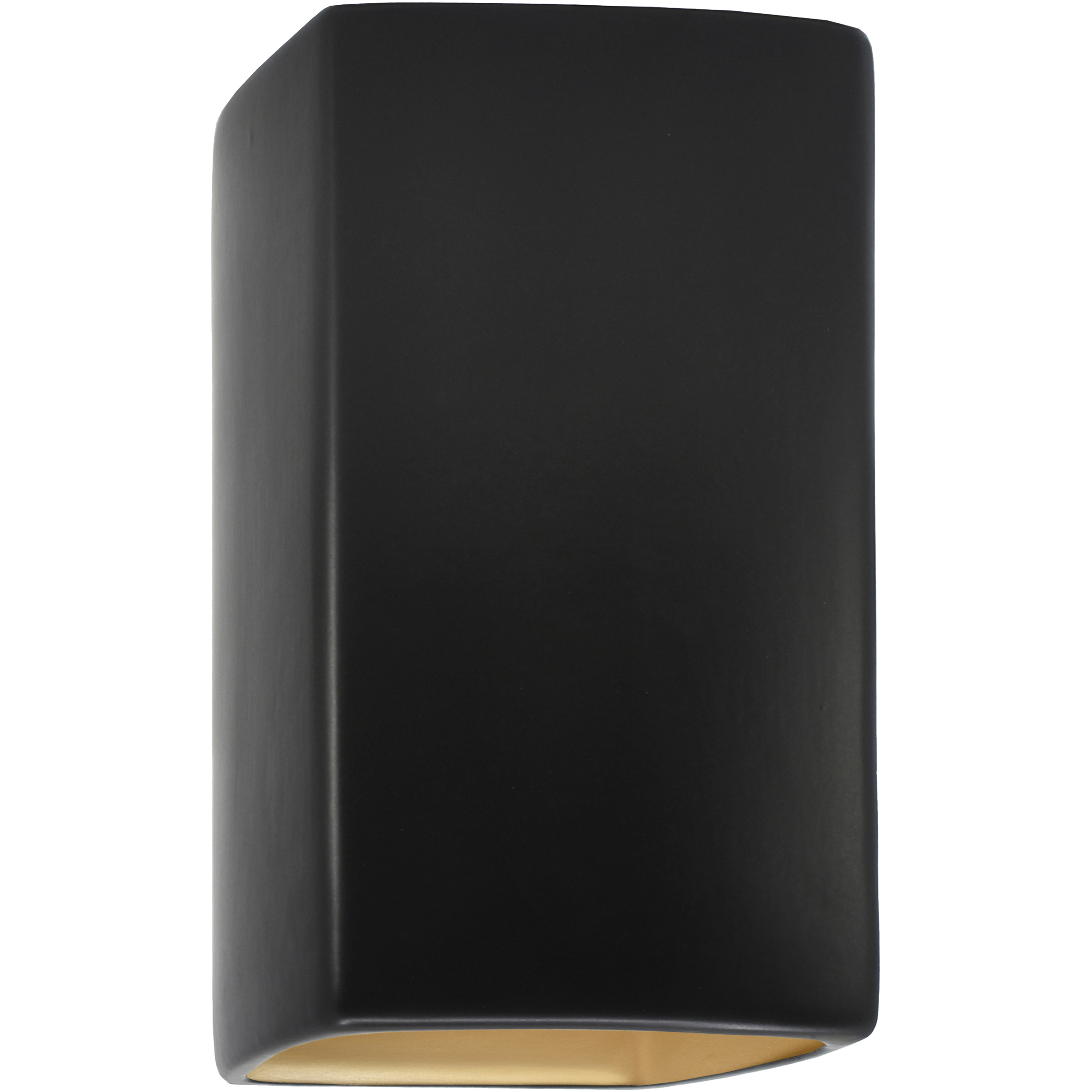 Ambiance Collection LED 13.5 inch Carbon Matte Black/Champagne Gold Outdoor Wall Sconce